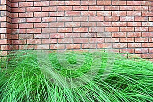 Brick wall and stucco Is an art that looks beautiful and immortal