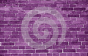 Brick wall surface in purple tone