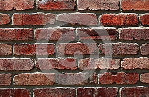 Brick wall in terra cota color