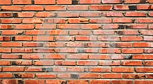 Brick Wall Texture for Background