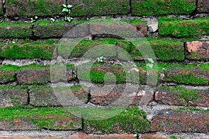 Brick wall texture background with grass and mos