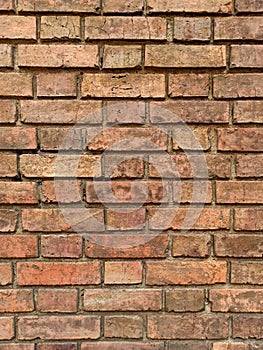 Brick Wall texture Background yellow rustic and old