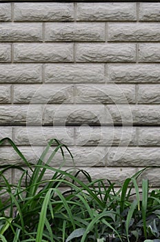 Brick wall texture