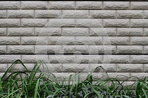 Brick wall texture