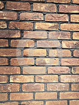 Brick wall under sunlight. Texture