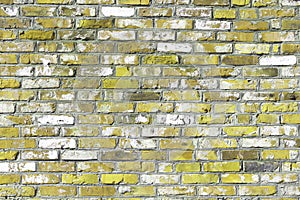 Brick wall with unusual yellow bricks