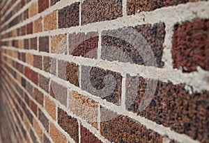 Brick Wall with various colors