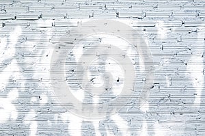 Brick wall white Shadow tree for background