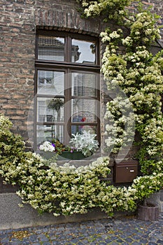 brick wall with windows and flower boxes with flowering plants, Wachtendonk