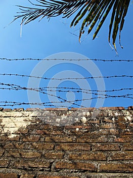 Brick Walls with Barbed Wire, Under Blue Sky