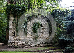 Brick walls in park covered with wild grape leaves