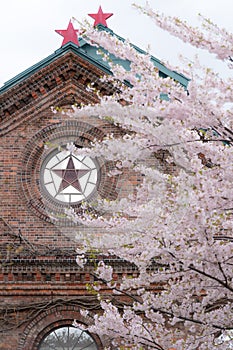 A brick warehouse with a sakura