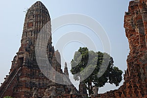 Brick Wat Chai Watthanaram temple in Ayutthaya, Thailand