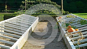 brick and wood cold frame