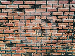 Brickconcrete wall texture, Red wall background, cement construction backdrop