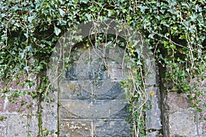 Bricked over doorway, with ivy.