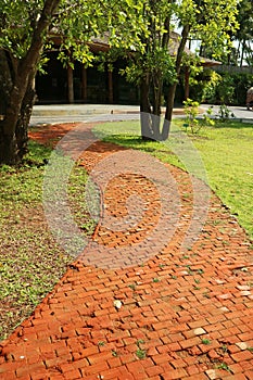 Bricked pathway in the sunshine garden