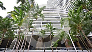Brickell Miami scene buildings and palms
