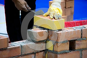 Bricklayer installing bricks, Bricklayer worker installing brick