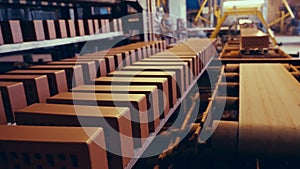 Bricks on conveyor belt