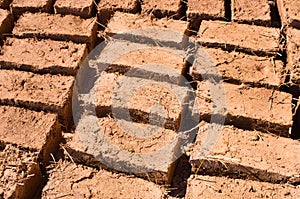 Bricks dried on the sun