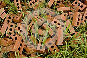 Bricks in grass