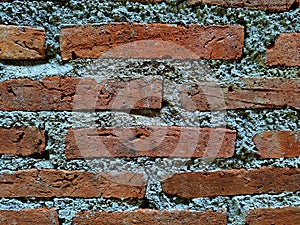 bricks installed by expert builders neatly and aesthetically photo
