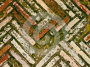 Bricks Paviment