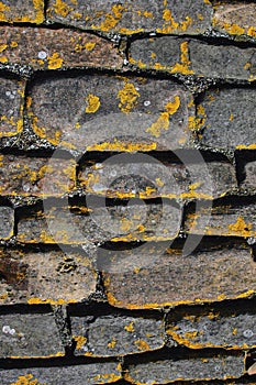 Bricks at Skara Brae, Orkney's