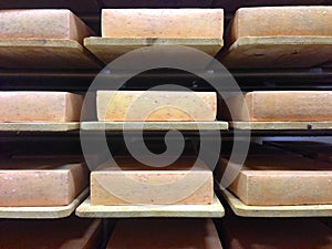 Bricks of Swiss cheese aging on wooden shelves