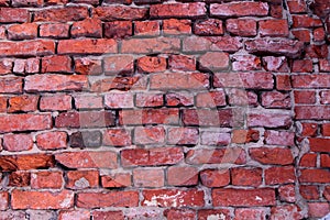 Bricks Texture, brick wall