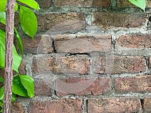 Bricks wall texture background photo and vector