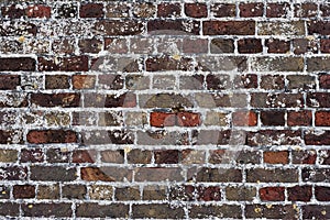 Brickwall photo