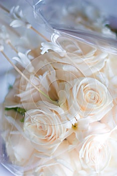 Bridal bouquet in cellophane