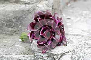 Bridal bouquet of darck callas. Purple wedding bouquet. Black calla lily.