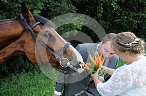 Bridal bouquet for the horse