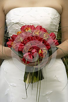 Boda tulipanes 