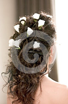 Boda cabello diseno 