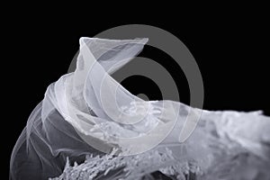 Bridal Veil on Black Background 2 photo