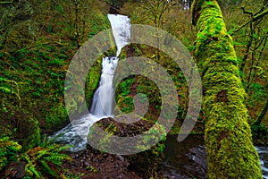 Bridal Veil Falls, Columbia River Gorge