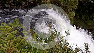 Bridal Veil Waterfall Waikato New Zealand