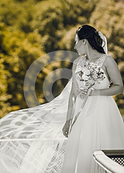 A bride in a beautiful sunshine. photo