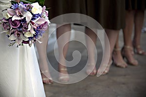 Bride and bridesmaids photo