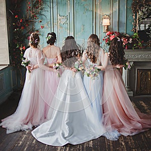 Bride and bridesmaids. Beautiful young women in dresses