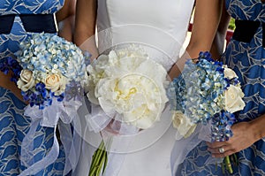 Bride and bridesmaids with bouquets