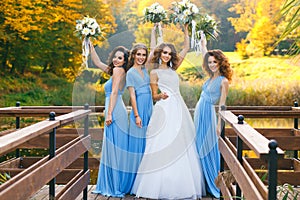 Bride with bridesmaids photo