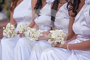 Bride and bridesmaids photo