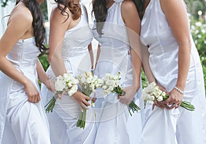 Bride and bridesmaids photo