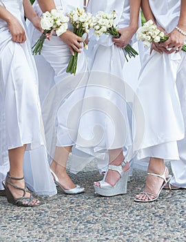 Bride and bridesmaids photo