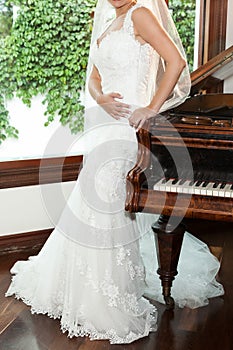 Bride dressed in beautiful wedding dress